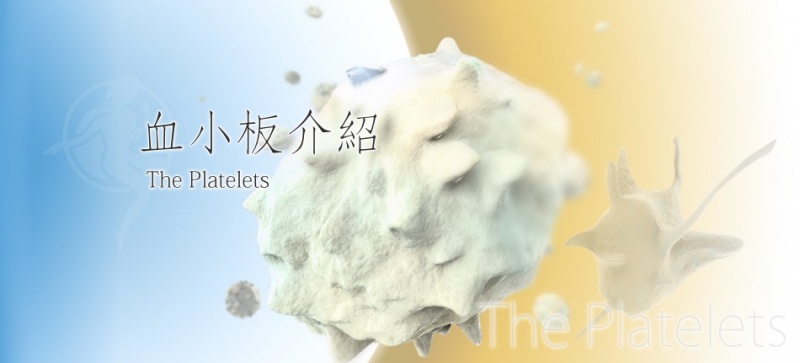 檔案:Platelet Slider.jpg